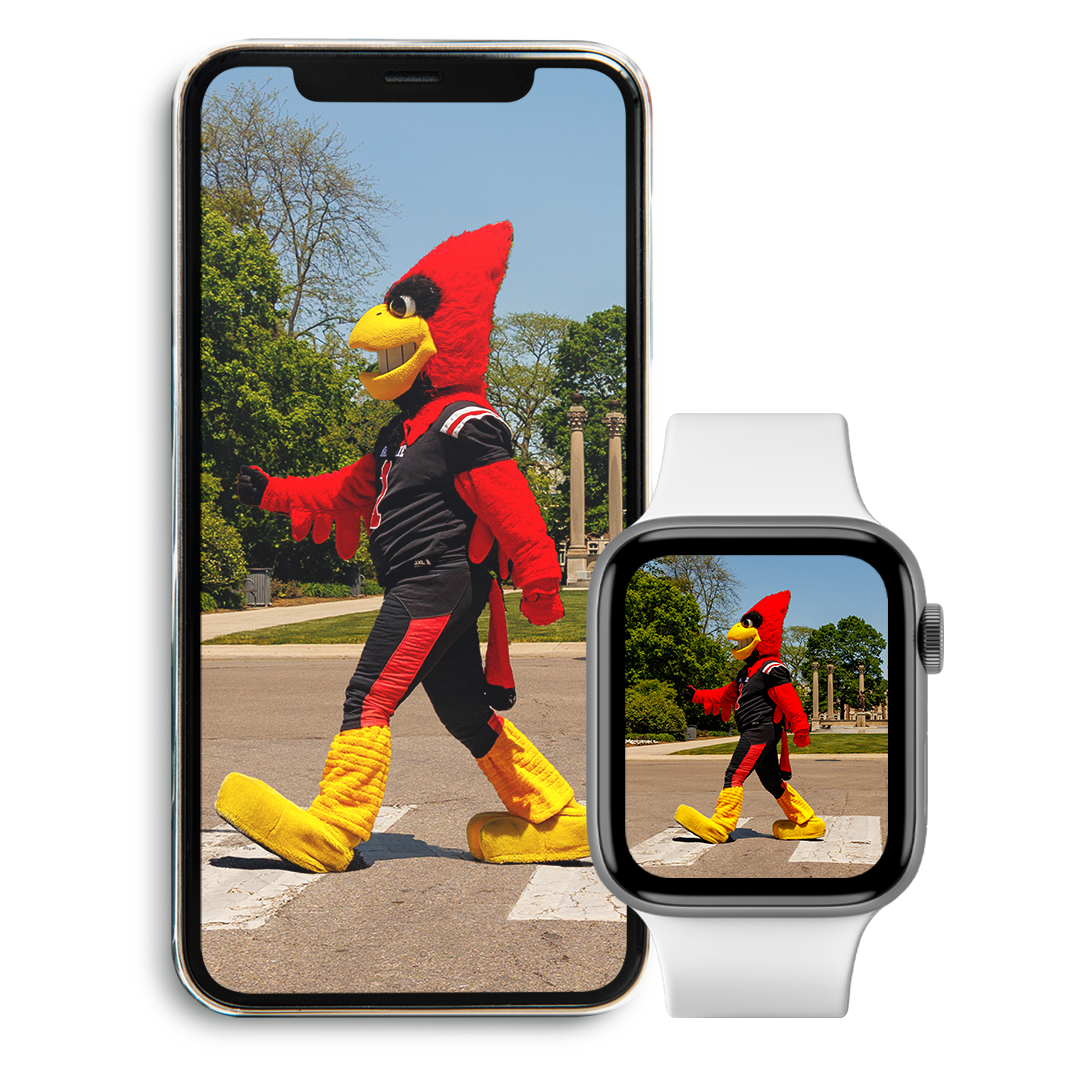 Charlie Cardinal walking on iPhone and Apple Watch
