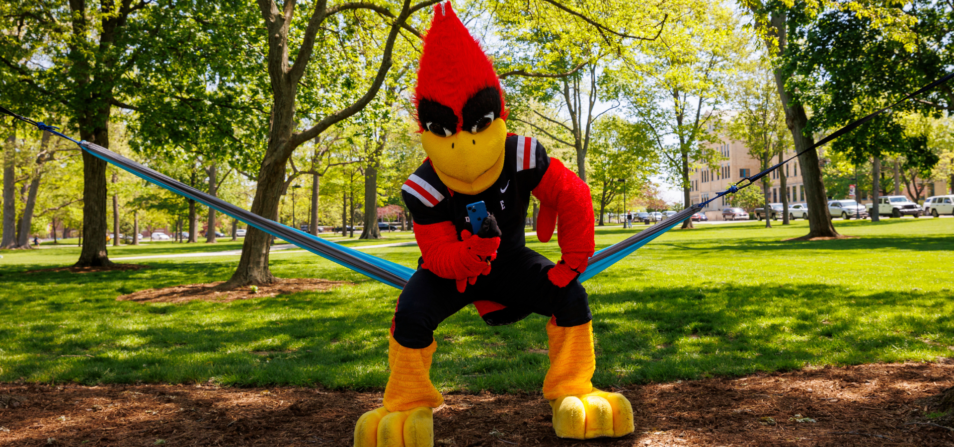 Charlie Cardinal on Phone