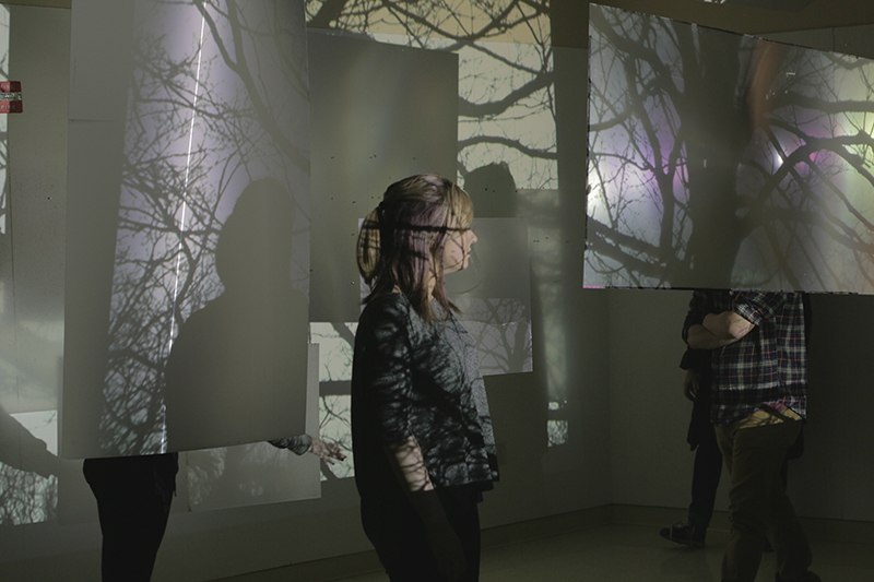 projector lights of a forest