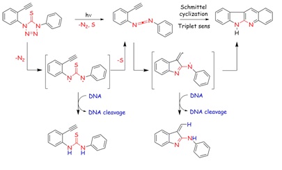 chemical reaction
