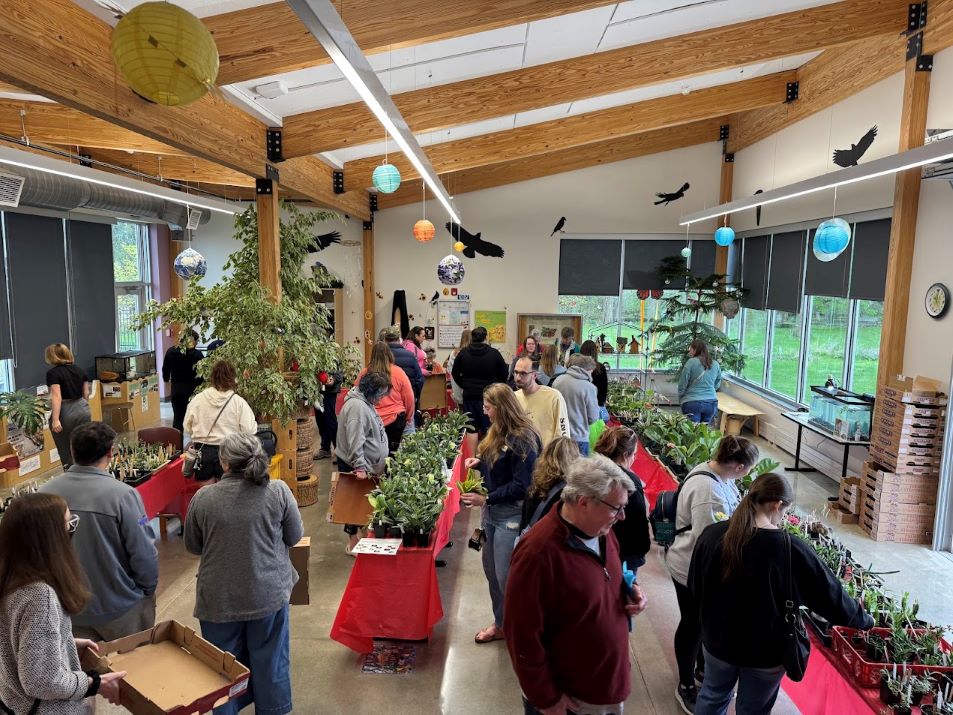 visitors at our annual plant sale in 2025