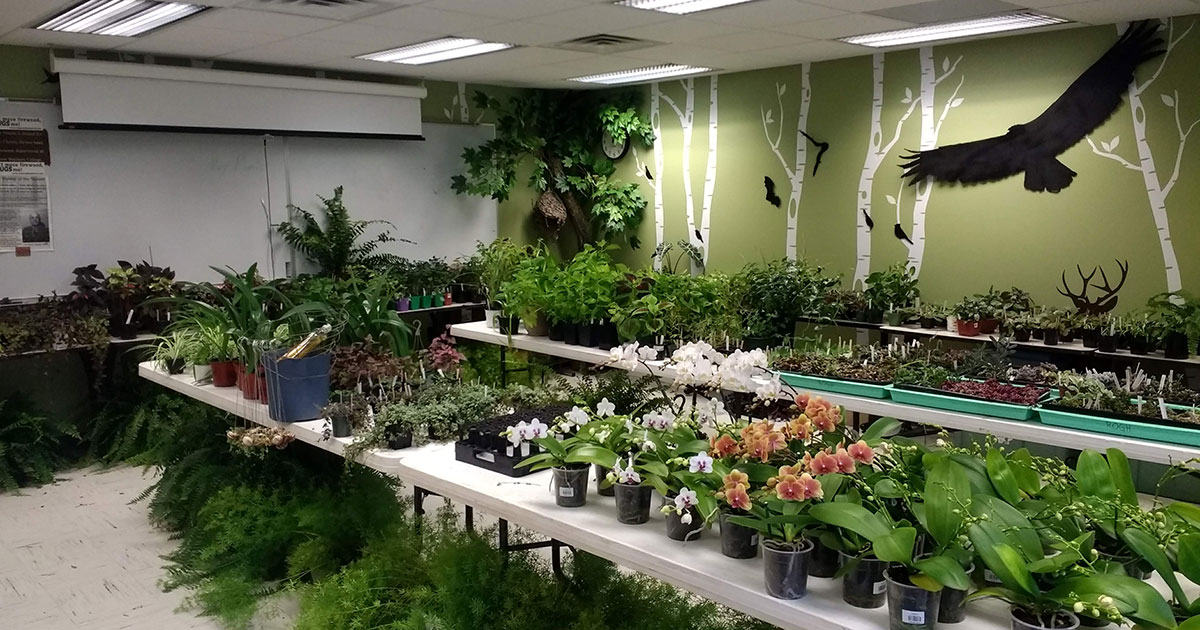 Photo in Christy Woods