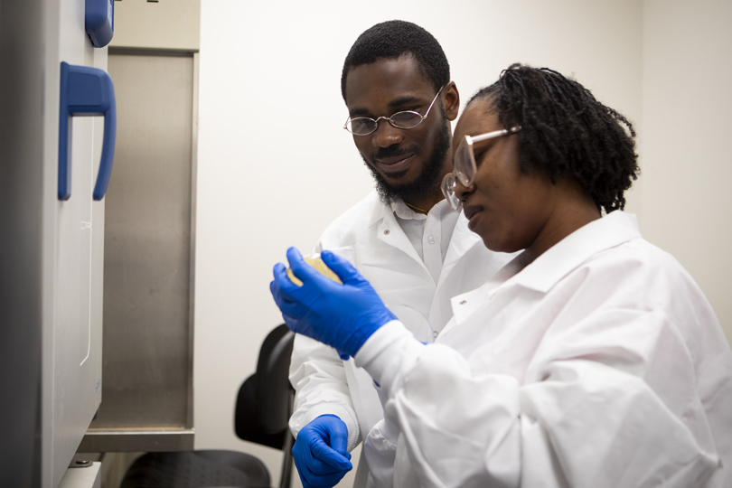 Research students in laboratory