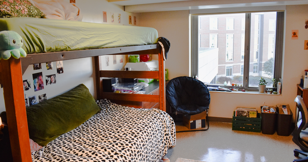 Interior Room Decorated