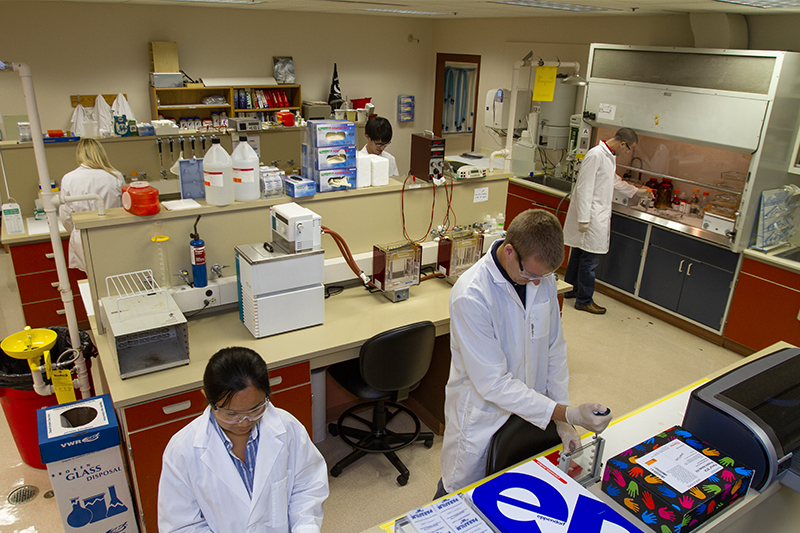 Students work in the Biochemistry and Molecular Laboratory