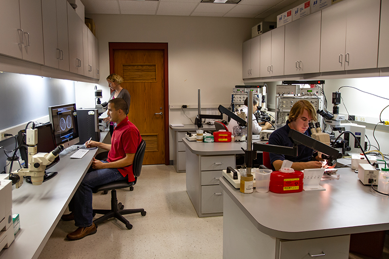 Students work in the Single Muscle Fiber Physiology and Imaging Analysis stations