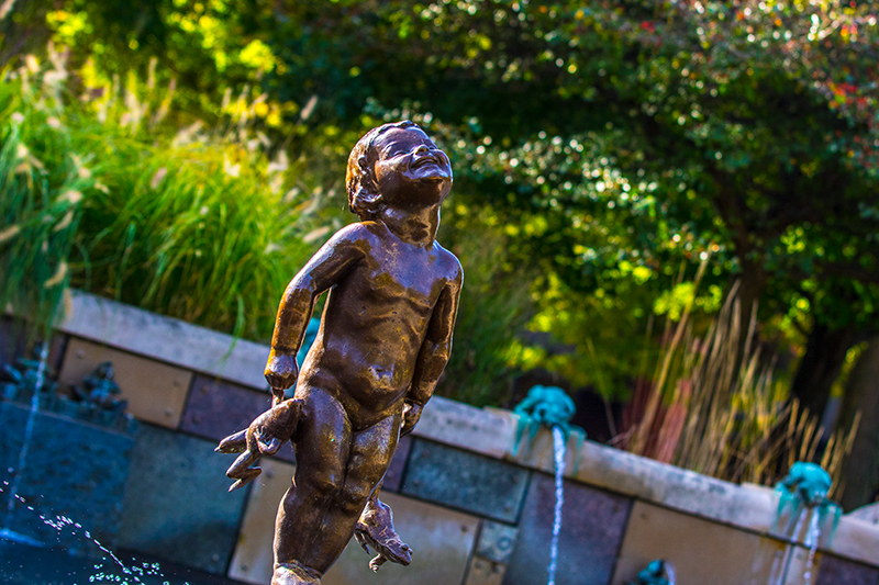 frog baby in the summer