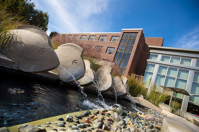 fountain outside dorm