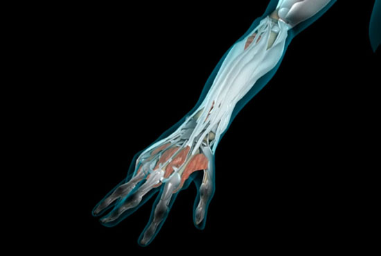 Astym Visulalization