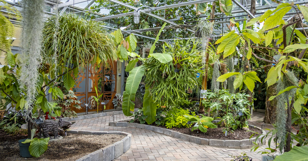 Dr. Joe and Alice Rinard Orchid Greenhouse Classroom