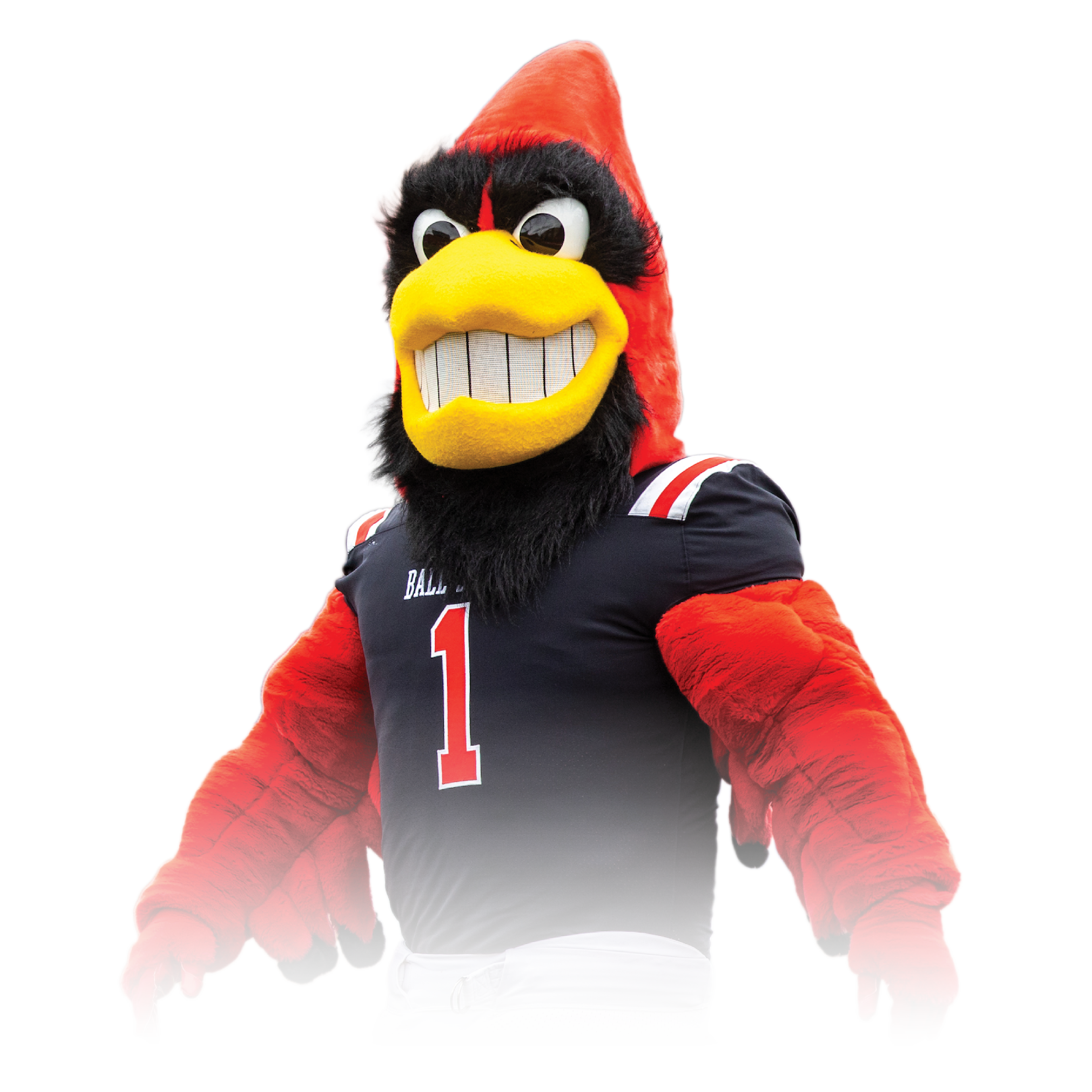 A photoshopped cutout of Charlie Cardinal, Ball State University's mascot.