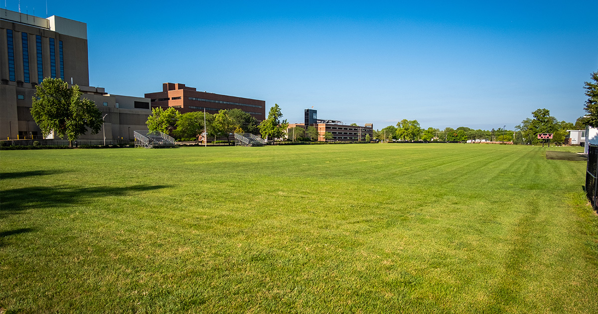 South Recreation Field