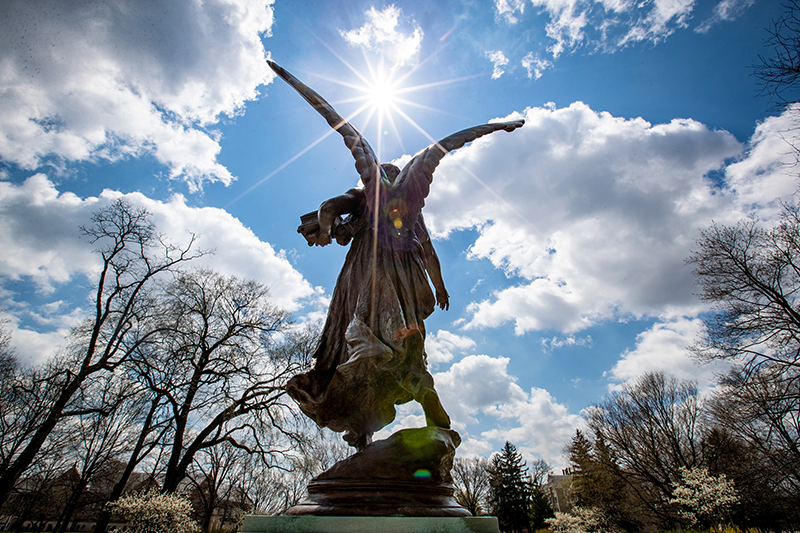 Benny with the bright sun shining on her