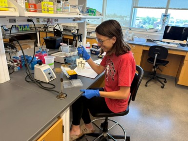 Katrina Procuniar works with laboratory equipment while seated at a research lab bench.