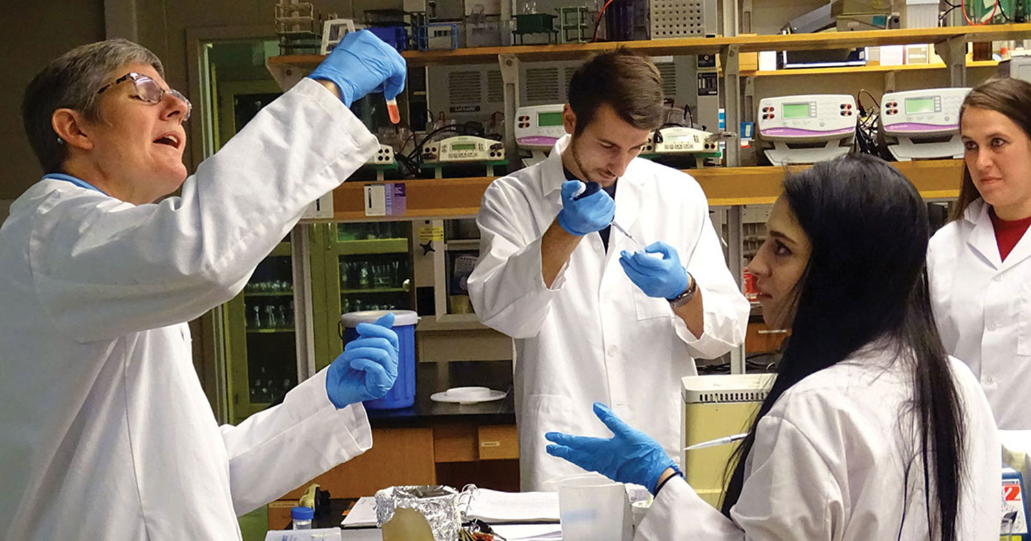 What roles mentors play?