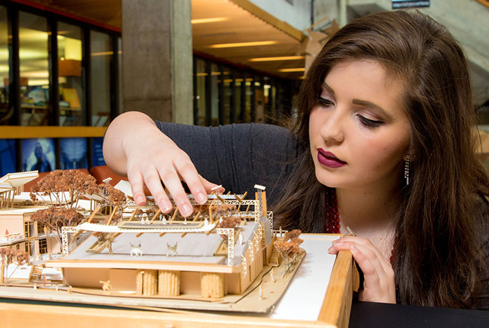 Undergraduate Student