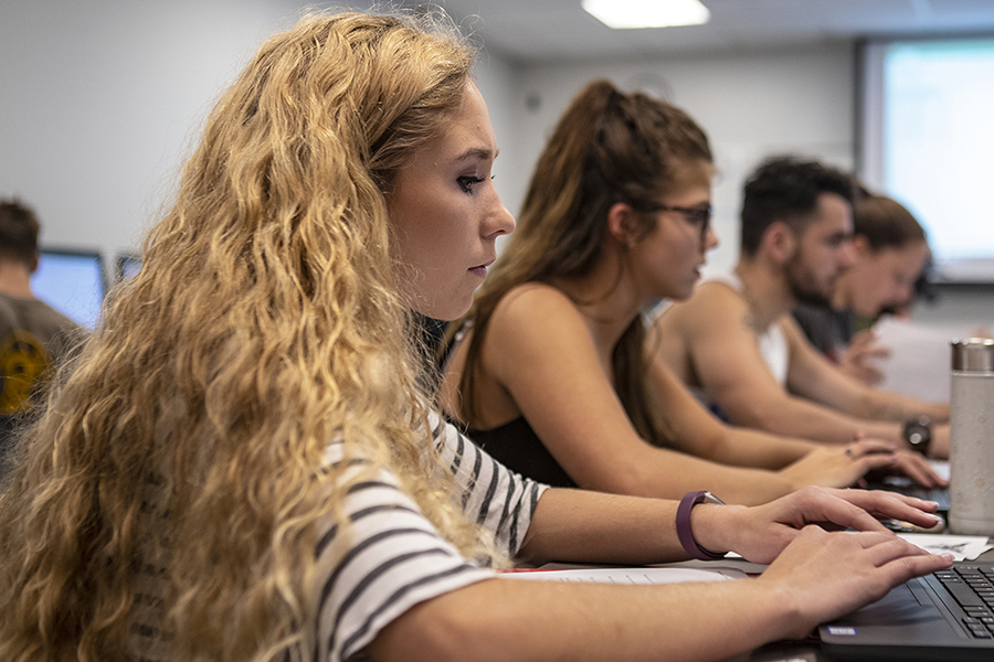 Students working alongside each other