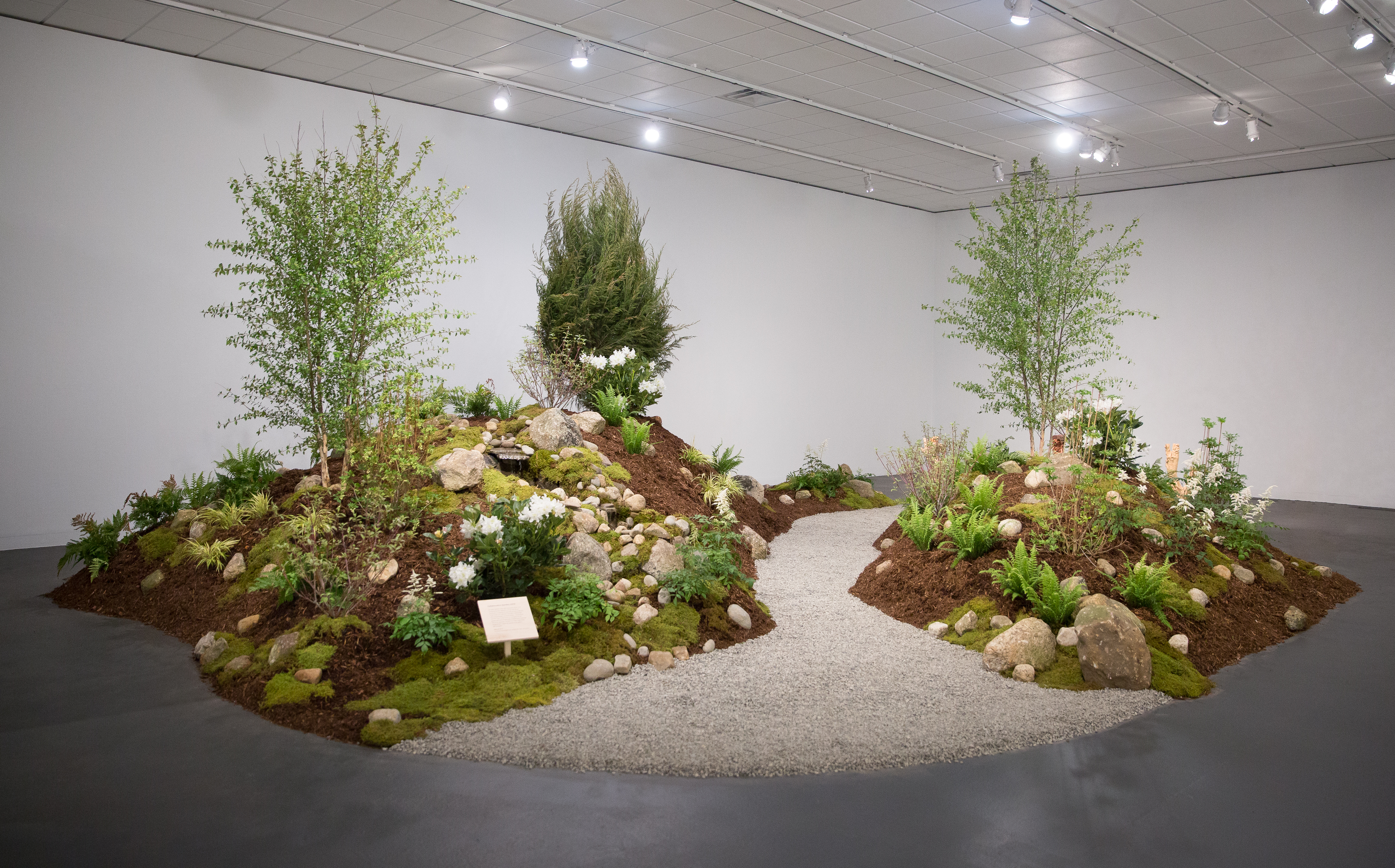 John C. Gonzalez - Collaborative Garden