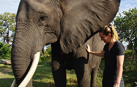 Allison Tourville with elephant