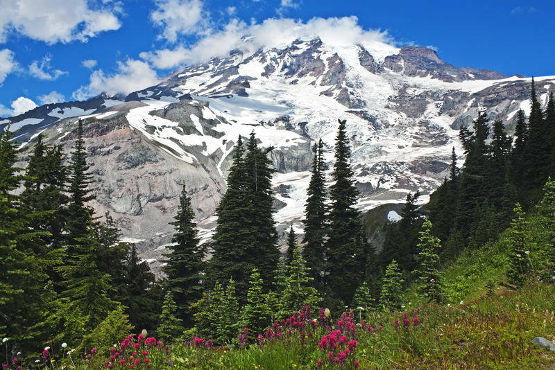 Mount Rainier