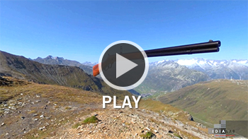 Interactive Firearm Demonstration